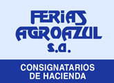 Ferias Agro Azul S.A.